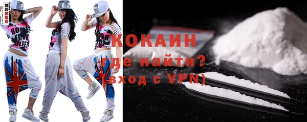 гидра Надым