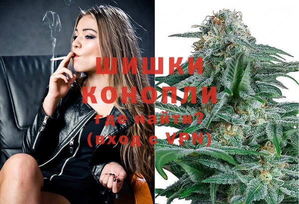 гидра Надым