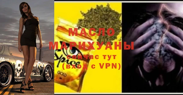 гидра Надым